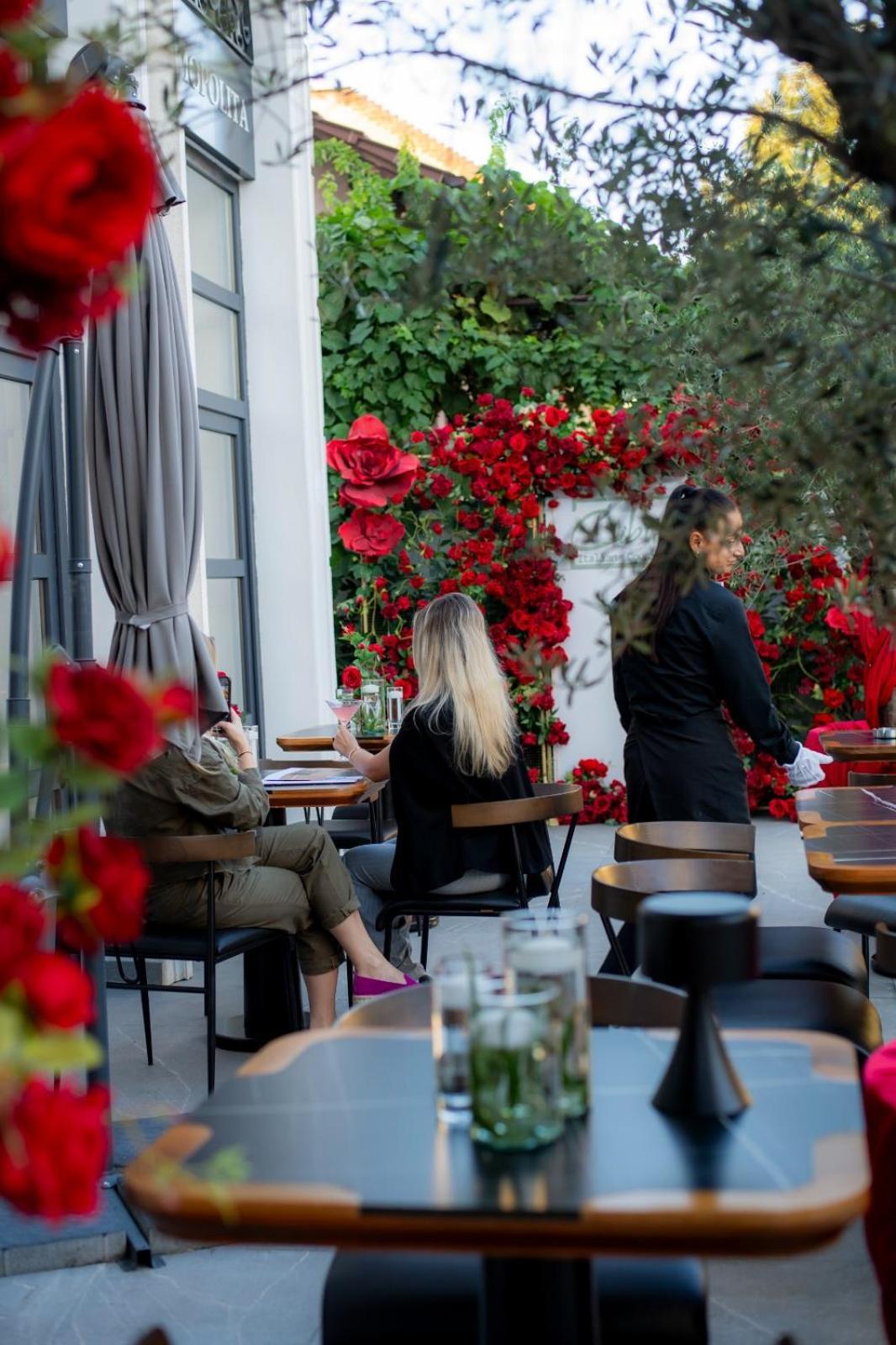 טימישוארה Cosmopolita Boutique Hotel מראה חיצוני תמונה
